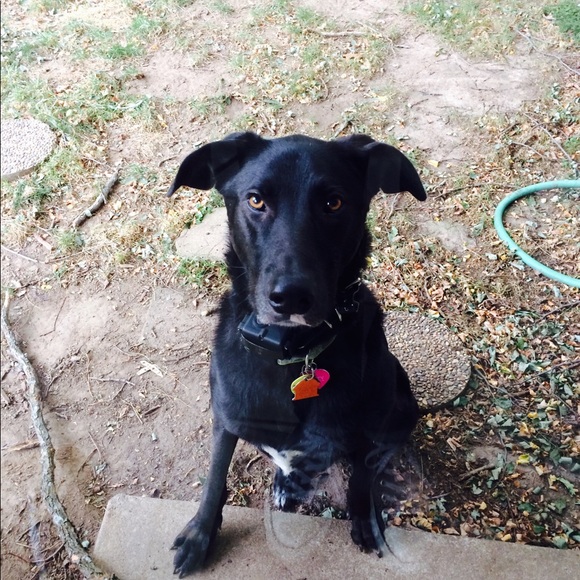 Meet your Posher, Danielle - Picture 1 of 1